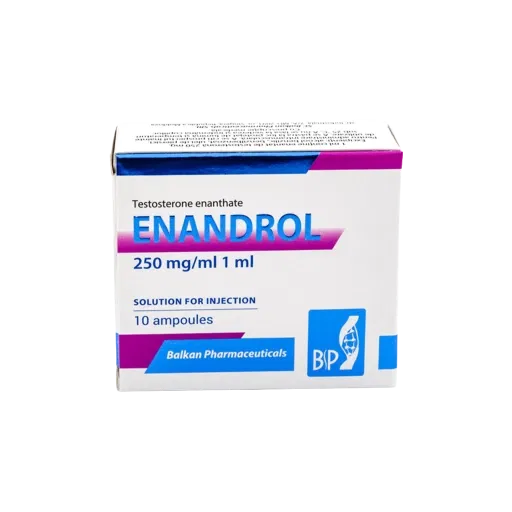 ENANDROL AMP