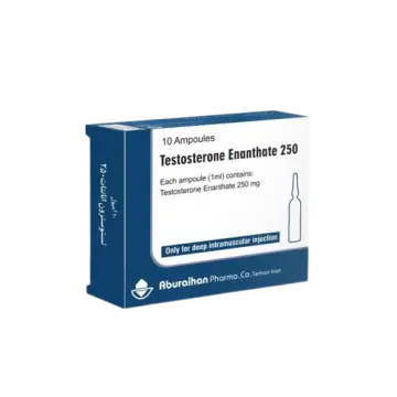 TESTOSTERONE ENANTHATE 250 - 10 X 1ML AMPOULES (250MG/1ML)