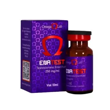 Ena Test 250 - 10 ML VIAL (250 MG/ML)