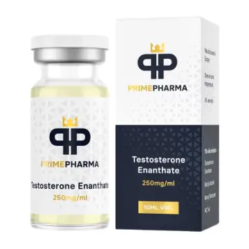 Testesterone Enanthate - 10 ML VIAL (250 MG/ML)