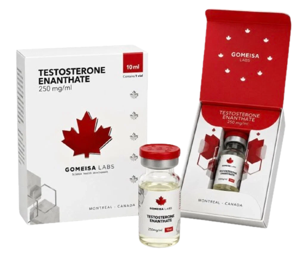 Testosterone Enanthate - 10 ML VIAL (250 MG/ML)